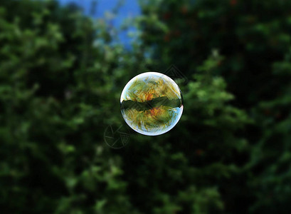 一个绿色红色橙色和蓝色的气泡在森林背景的空气中飞舞图片