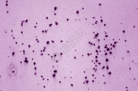 古龙基生锈金属表面的紫色音质背图片