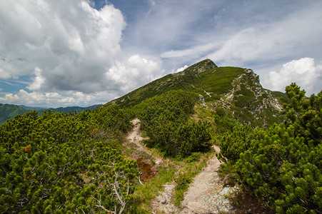 山水景观与小径和常青树图片