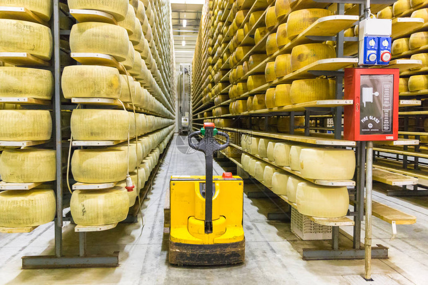 帕米基亚诺乳酪工厂生产架子图片