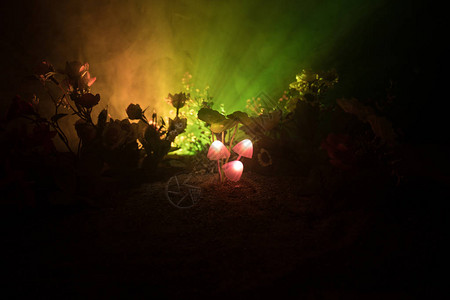 神秘黑暗森林特写中的三个幻想发光蘑菇神奇蘑菇或三个灵魂在化身森林中迷失的美丽微距镜头背景上有雾的灯背景图片