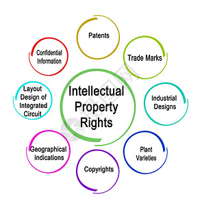 知识产权的种类高清图片