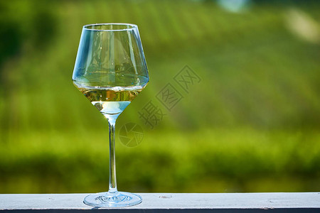 加州的葡萄酒饮料白葡图片