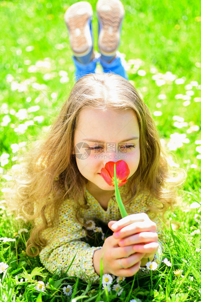 草地上的背景青年和无忧虑的概念笑脸的女孩拿着红色的郁金香花图片