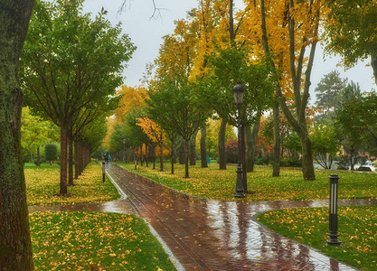 十月公园里的雨图片