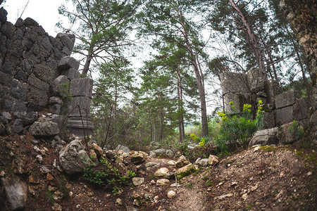 土耳其古代遗址被毁坏的石墙石块和柱子松树林间的废图片