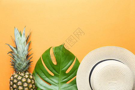 颜色背景上的新鲜龟背竹叶菠萝和帽子图片