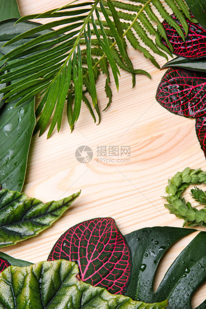 木本热带树叶框架制成的木底图片