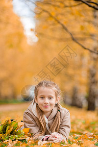 在美丽温暖的日落秋天有黄色叶子的时候户外可爱图片