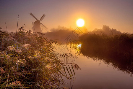 在沼泽地区传统的荷兰传统风车清晨图片