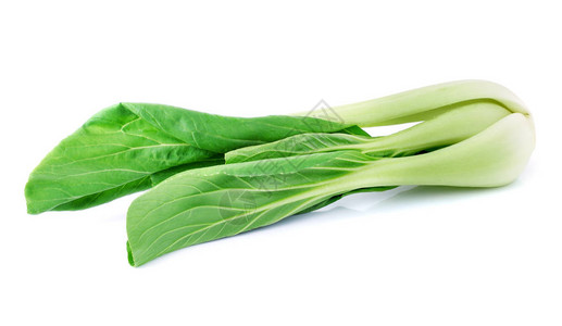 Bokchoy卷心菜在高清图片