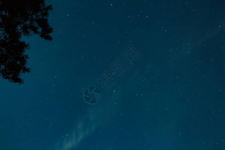 与星和树剪影的夜空图片