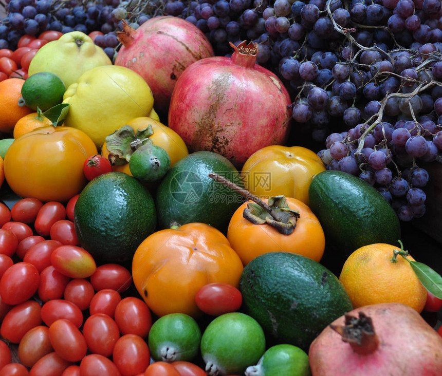 丰富的多种颜色的水果图片