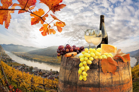 白葡萄酒在奥地利斯皮茨瓦绍的著名葡高清图片