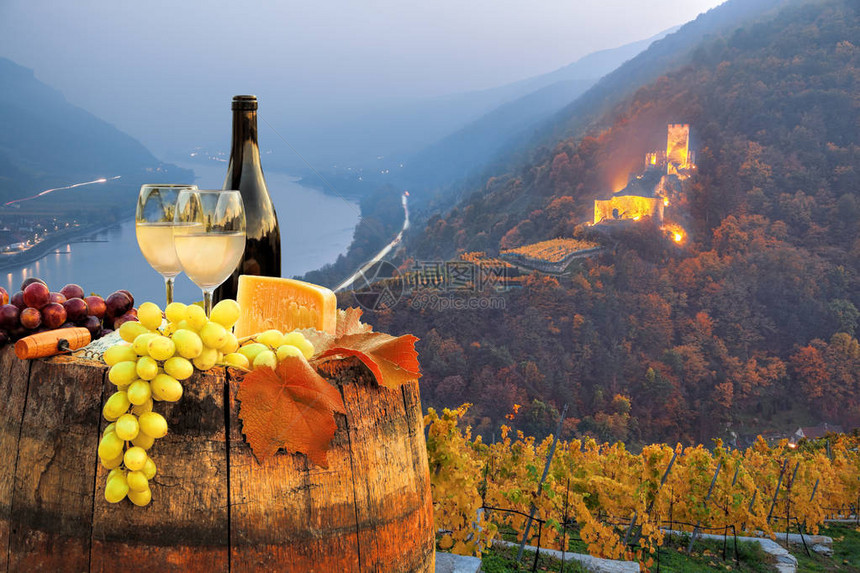 白葡萄酒在奥地利斯皮茨瓦绍的著名葡图片