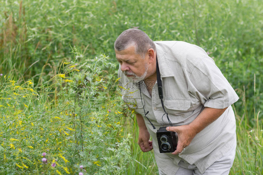 一名留胡子的老人在拍摄野花前看野图片