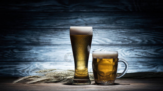 两杯金啤酒和木桌上的小麦点子图片