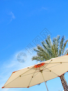 海滩伞和棕榈反对蓝天图片