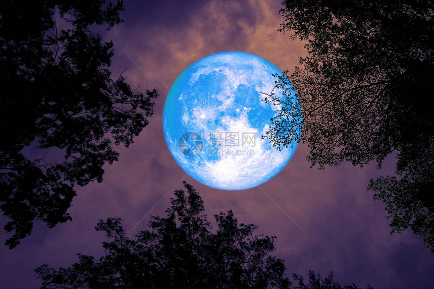 满月后整个月的圆背光影在树冠顶端夜空之间由美国航天局提图片