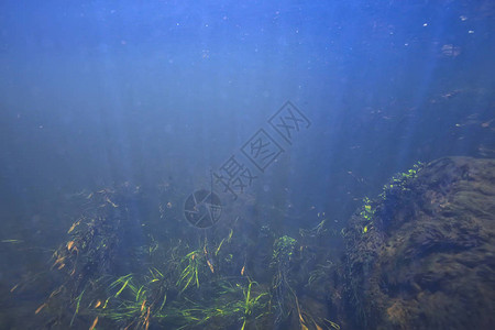 湖中水的下纹理水下照片淡水生态系统图片