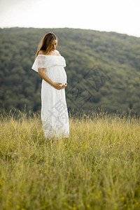 夏日在大自然外面放松的年轻孕妇在暑假休背景图片
