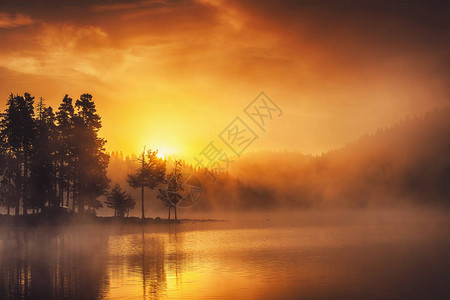 湖边的晨雾日出拍摄美图片