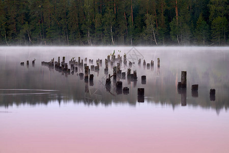 在森林背景的一个湖上阳光照耀立陶宛的秋天日出湖面一图片