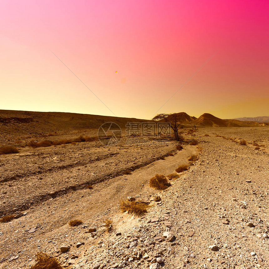 以色列内盖夫沙漠岩石丘陵的颜色正在上升图片