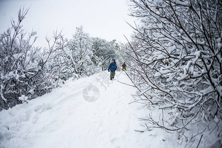 男孩穿过雪地一个背着包的孩子在林间小路上逃离了她的母亲冬天的乐趣妈图片