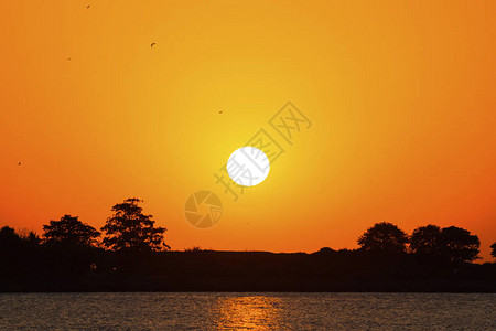 一个大太阳的美丽的橙色日落图片
