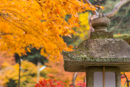 京都花园秋天季节图片
