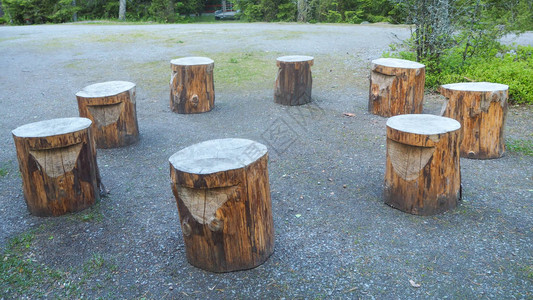 森林外的8个木凳圈图片