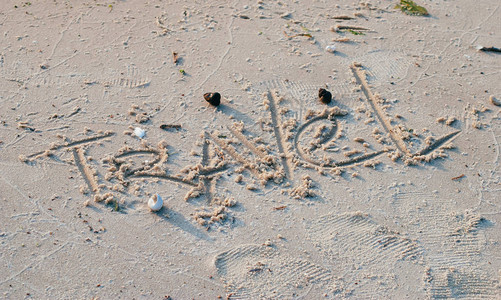 在沙滩海边贝壳黄沙子图片