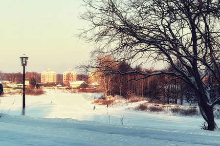景观路径方式冬天图片
