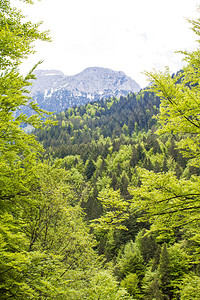 施万高的美丽景色美丽的山脉巴伐利图片