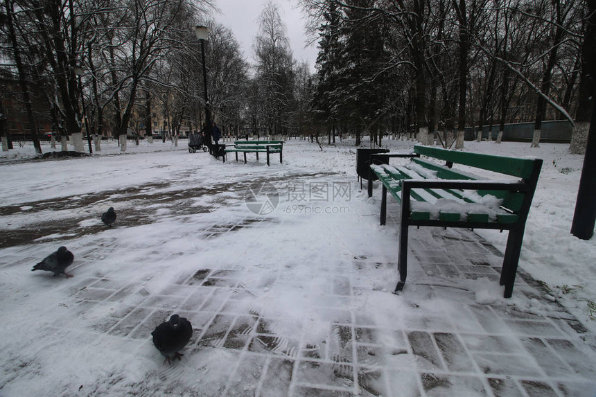 公园里的冬季长椅图片