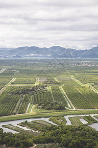 在克罗地亚Neretva河三角洲的农业地区图片