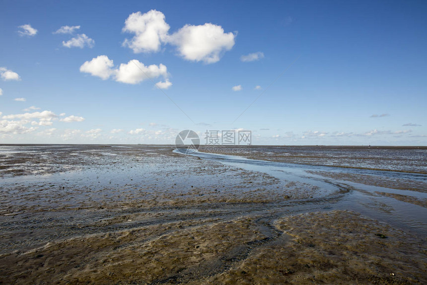 低潮水中云雾的海洋景观图片