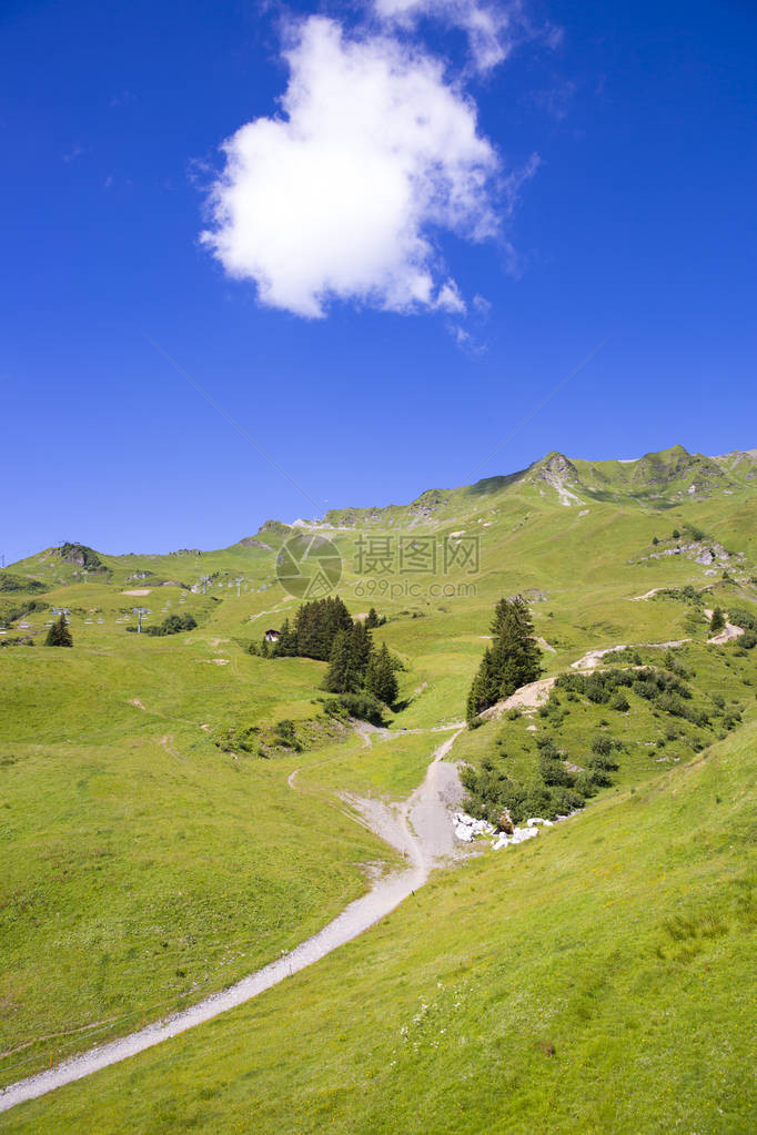 田园绿色夏季高山景观瑞士阿尔卑斯山断层图片
