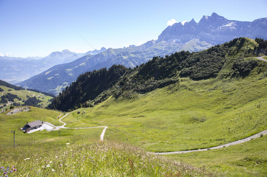 在瑞士瓦莱州瑞士阿尔卑斯山群中观测到的夏季图片