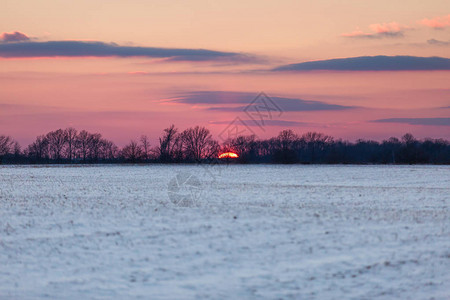 冬季美国雪地玉米田上的红日落与蓝天的寒冬美图片