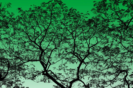 背景黑树分支摘要绿色亮光显示Green图片