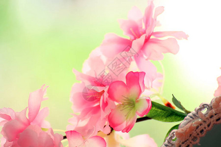 模糊柔和的粉红色花朵塑料背景图片