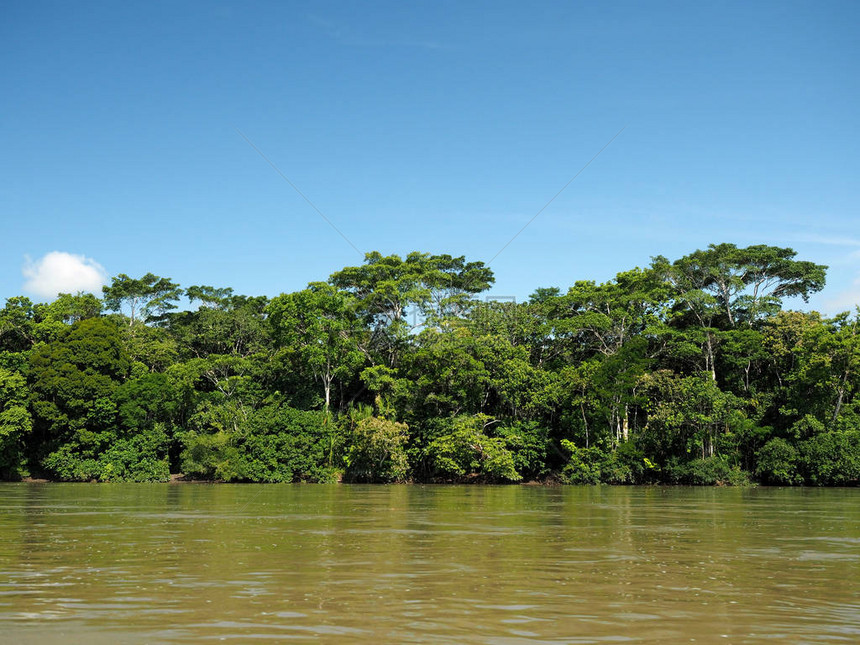 厄瓜多尔亚马逊河纳波亚图片