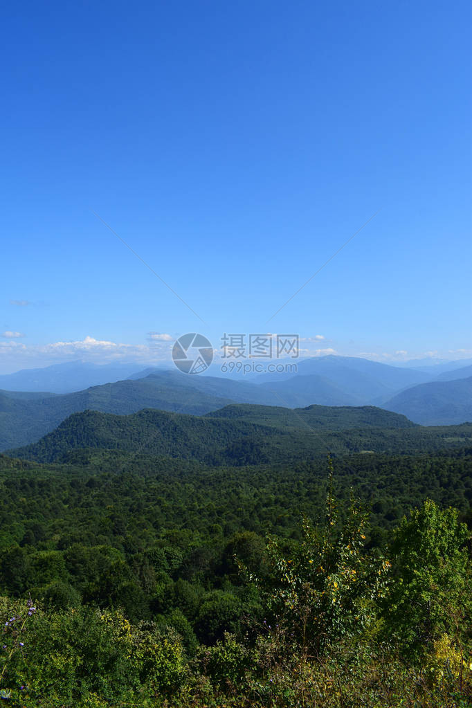 美丽的夏日风景图片