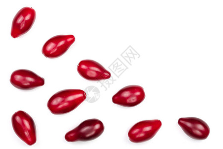 白色背景上隔绝的红莓玉米果或狗木背景图片