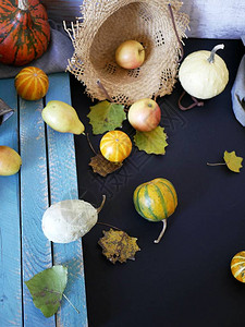 来自各种南瓜梨苹果黄叶和草帽的季节秋季组成图片
