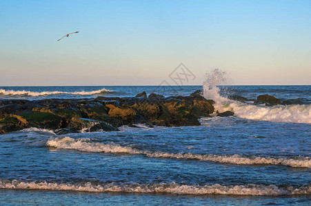 在新泽西海边亚芳海岸积极冲浪时波浪图片