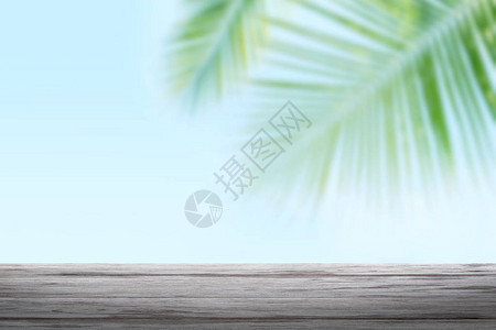 背景椰子和木板椰子棕榈树背景模糊板条图片