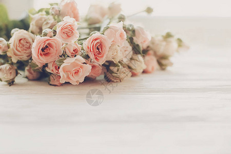 浅色木制背景的粉红小玫瑰图片